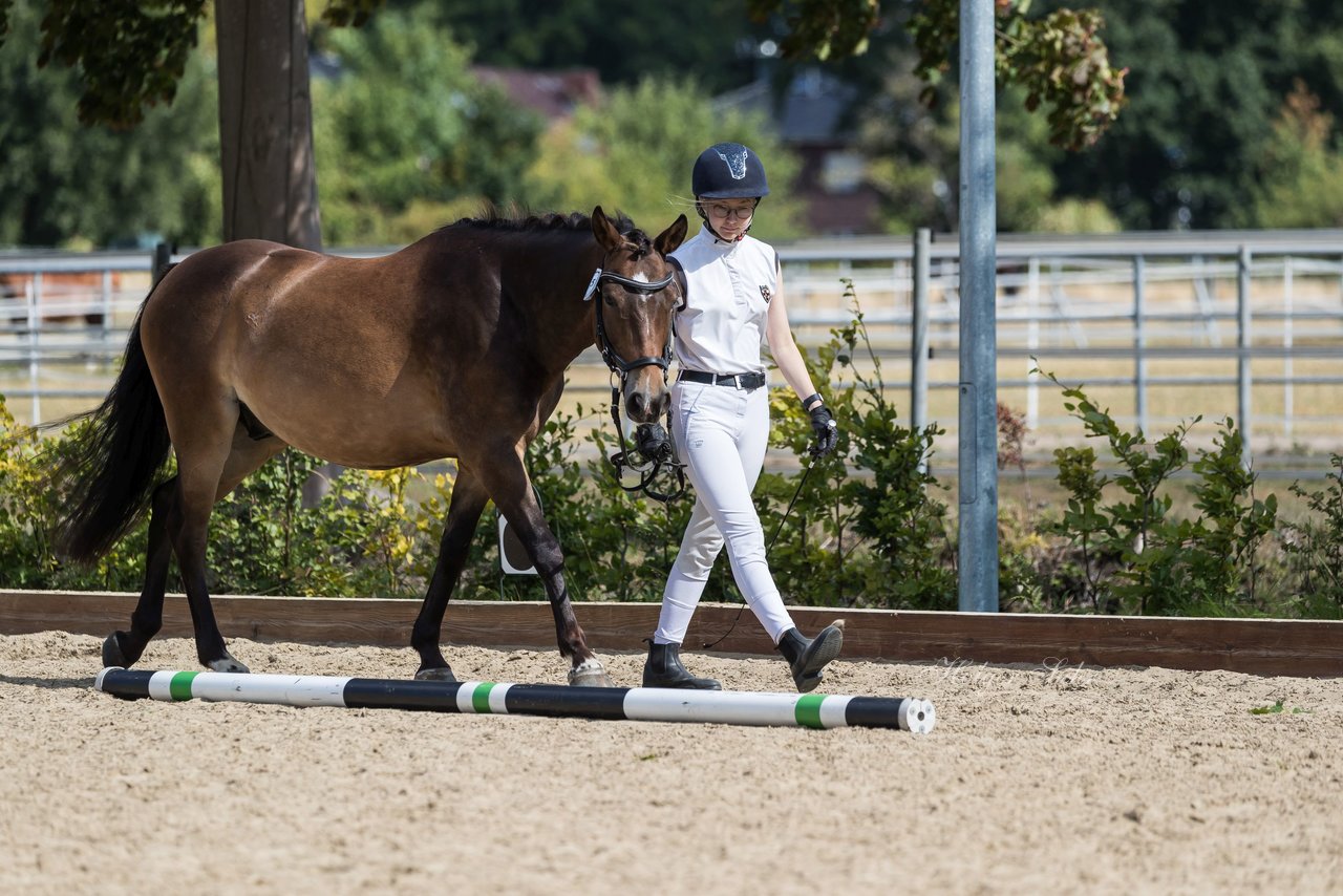Bild 74 - Pony Akademie Turnier